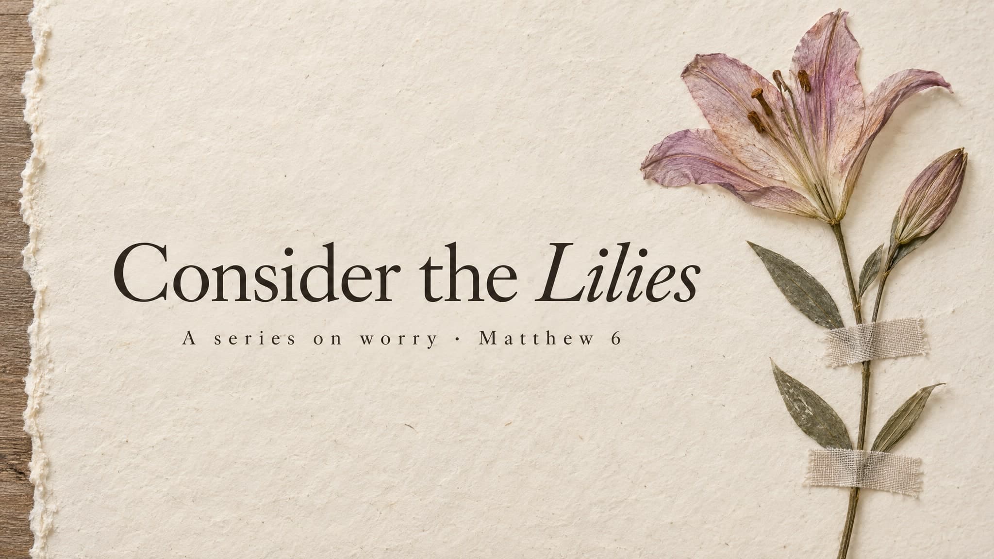 Pressed Herbarium church graphic template preview